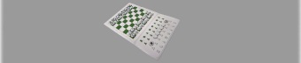 Magnetic pocket chessboard