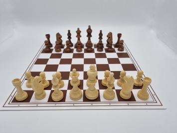 School Chess set