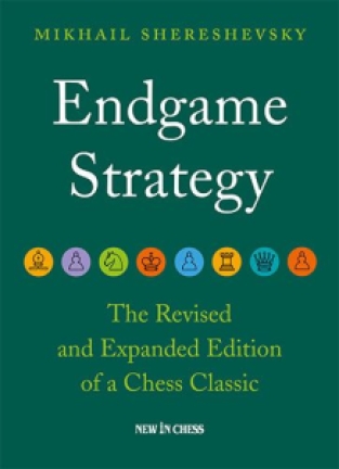 Endgame Strategy - Mikhail Shereshevsky