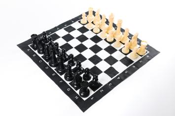 Compact Garden Chess