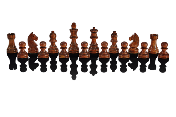 Millennium Chess Classics Exclusive