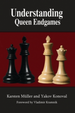 Understanding Queen Endgames